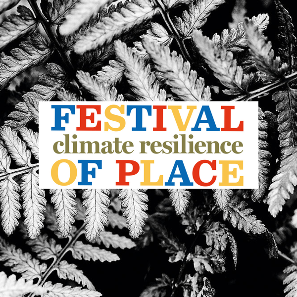 Festival of Place: Climate Resilience 2024