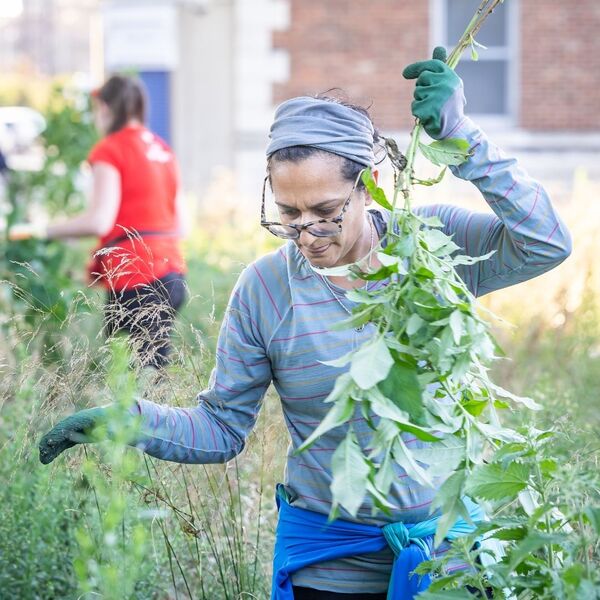 Urban GreenUP, Liverpool, for Liverpool City Council, Mersey Forest and University of Liverpool, with reShaped