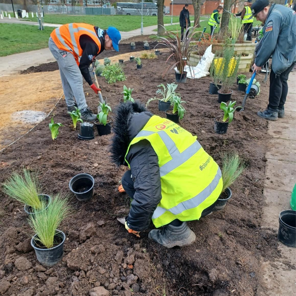 Firs and Bromford Pocket Park 3