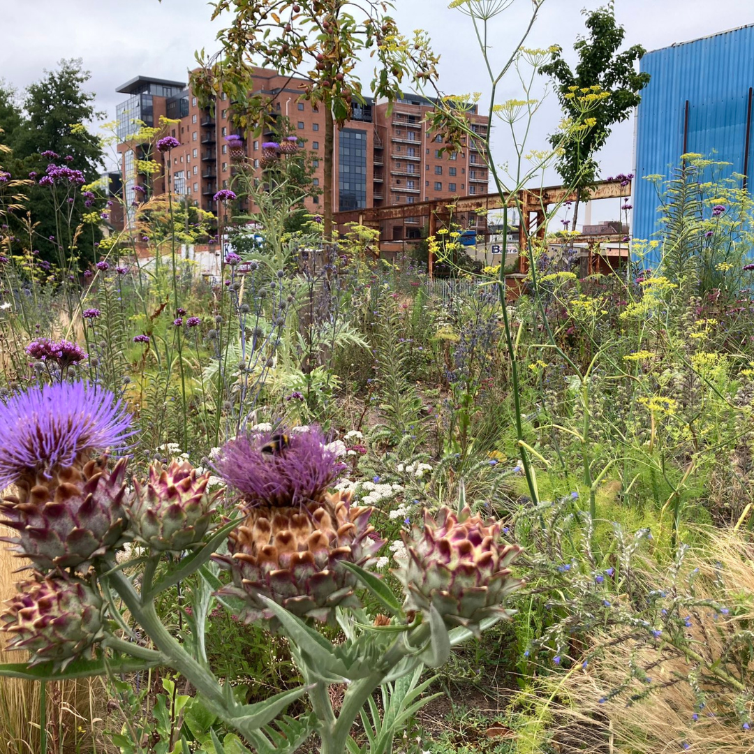 Urban GreenUP 2