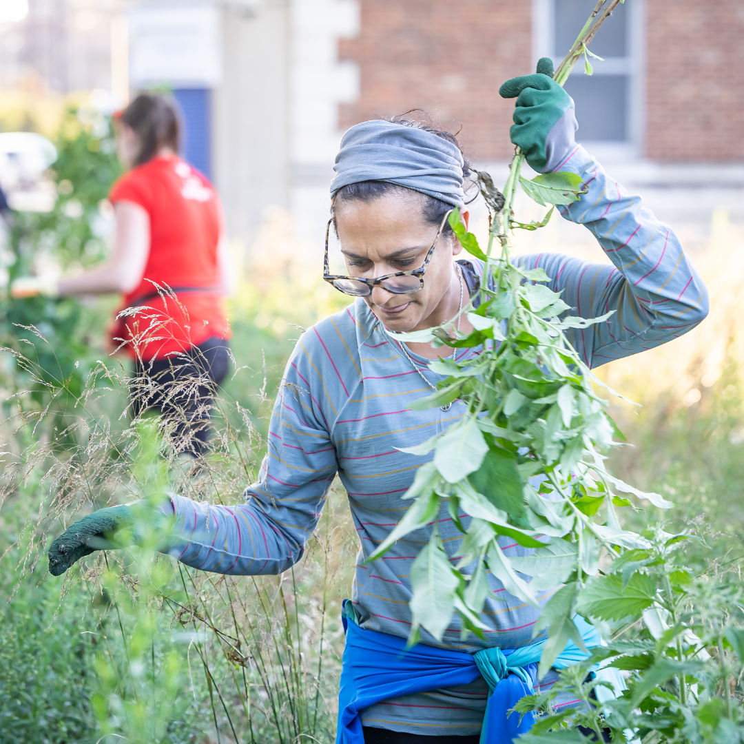 Urban GreenUP 3